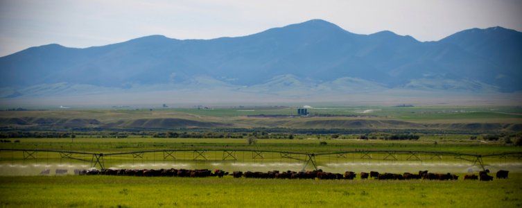 1195 NRCS projects