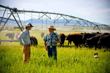 1397 NRCS projects
