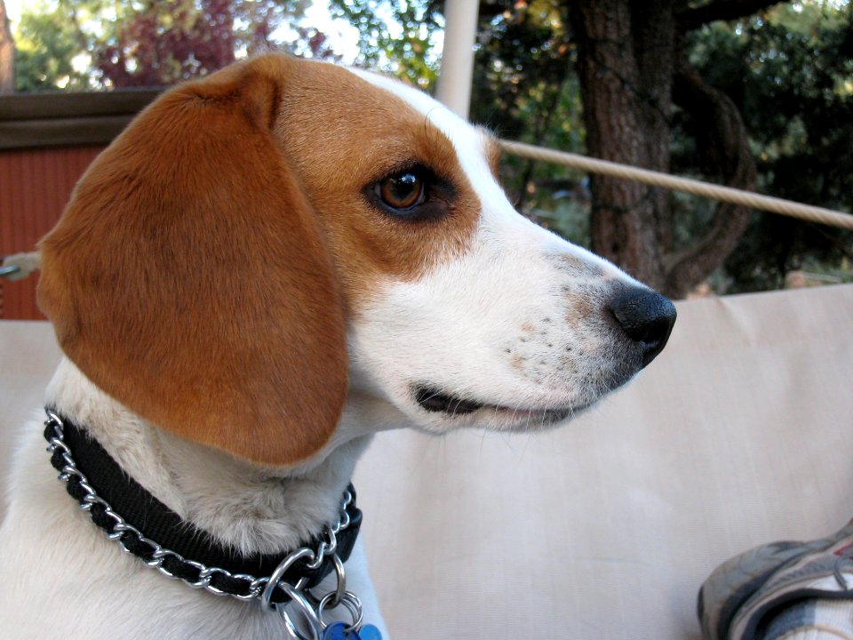 Fresa's 50 Mile Stare