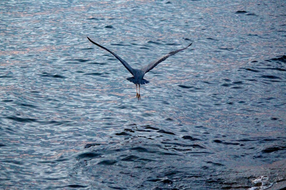 Elegant grey early morning