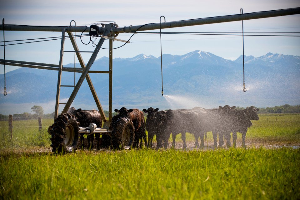 1283 NRCS projects