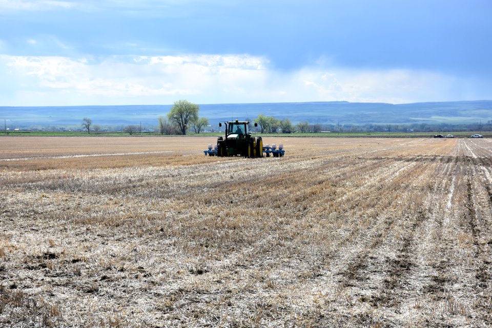 conservationtillage45