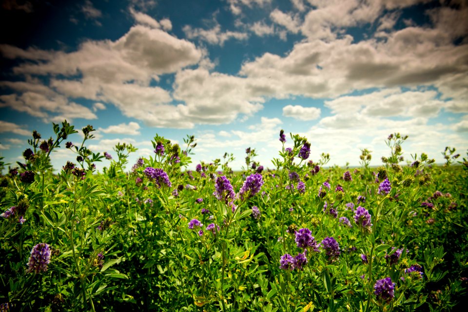 2992 NRCS projects
