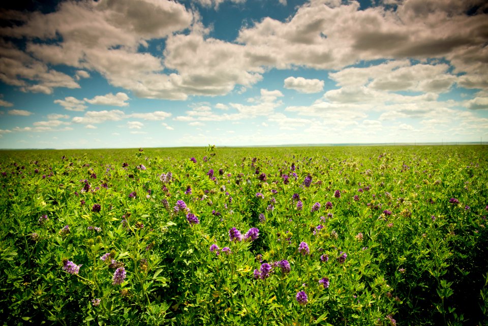 2991 NRCS projects