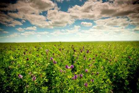 2991 NRCS projects