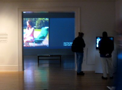 Video Art Installation