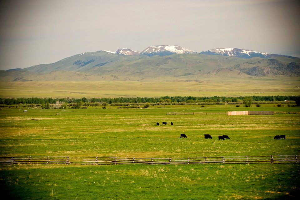 1448 NRCS projects