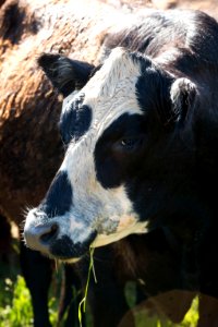 1268 NRCS projects