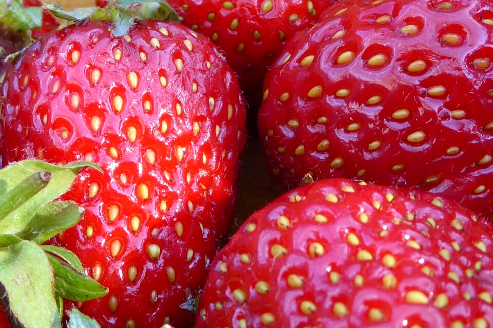 Sweet vitamins summer