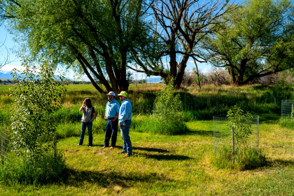 Jgibson Day5 0027  DSC8582