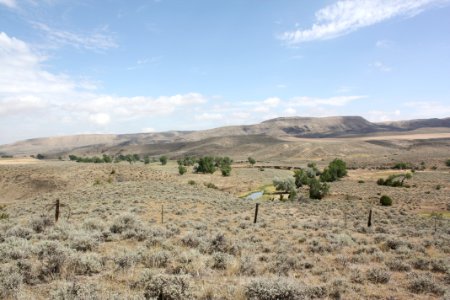 Riparian Waage04
