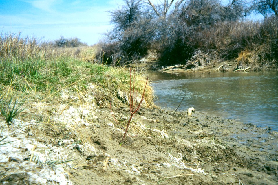 Watersheds02.tif