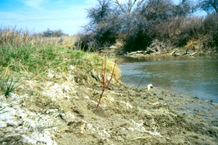 Watersheds02.tif