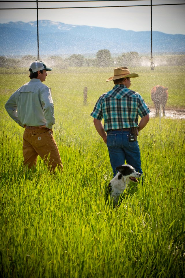 1376 NRCS projects