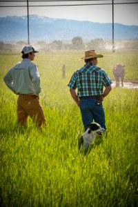 1376 NRCS projects
