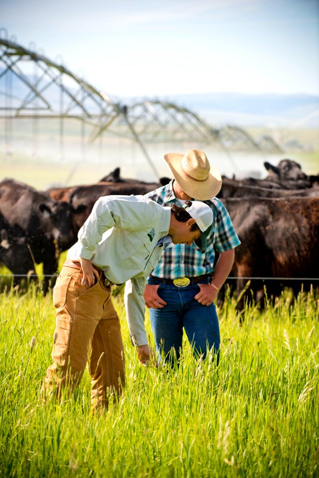 1403 NRCS projects