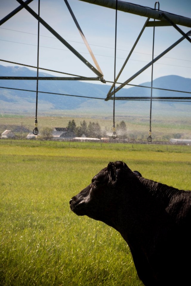 1301 NRCS projects