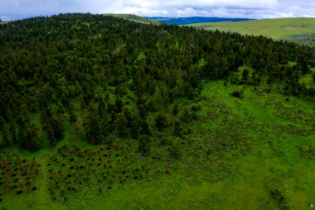 Jgibson Day3 0062 DJI 0644