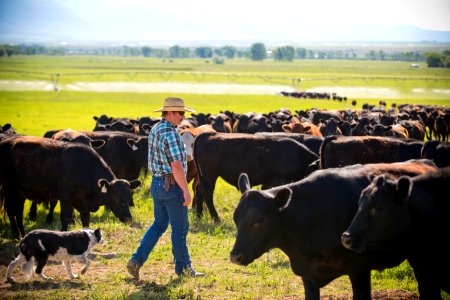 1209 NRCS projects