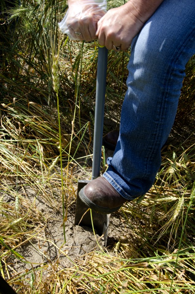 Soil Health NR 15