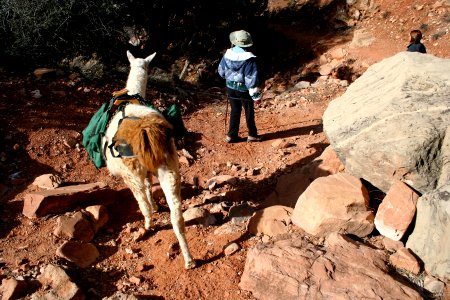 Hiking Down Fossil Creek Trail