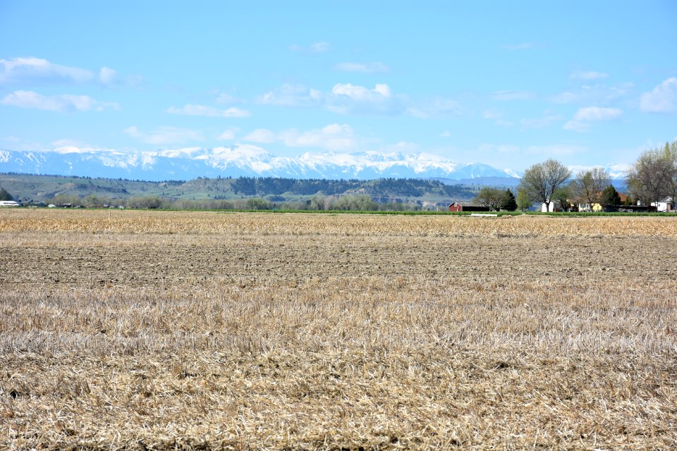 conservationtillage57