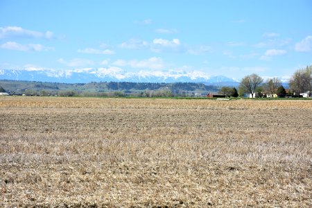 conservationtillage57 photo