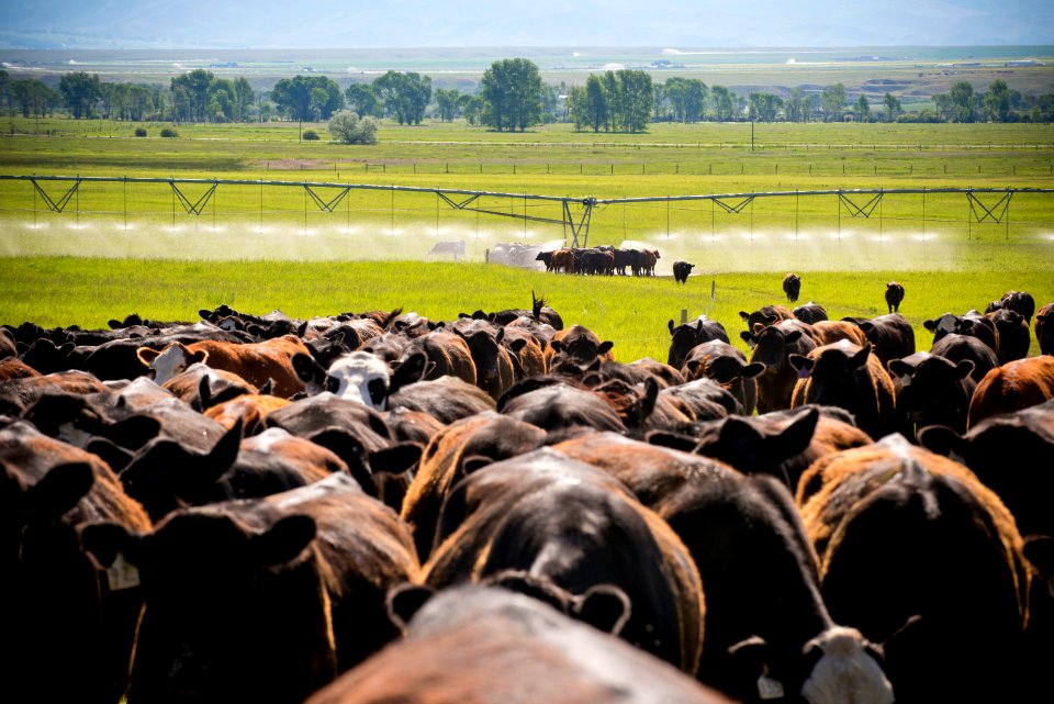 1247 NRCS projects