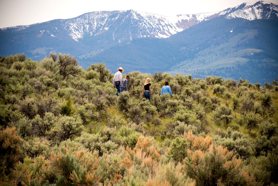 1596 NRCS projects