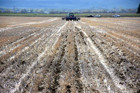 conservationtillage55