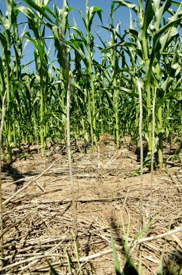 Crop Residue Management NR 04