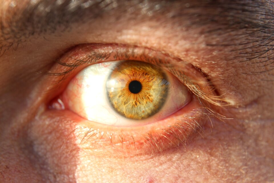 To watch view eye open