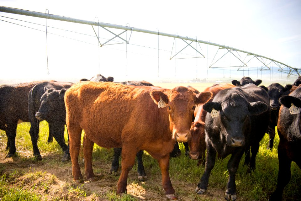 1327 NRCS projects