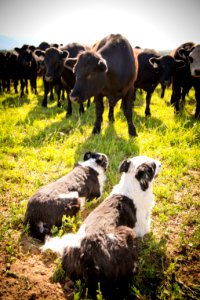 1249 NRCS projects