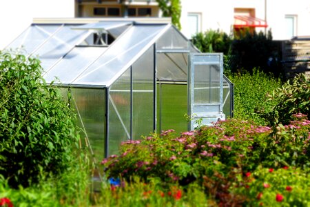 Planting garden accessories growth