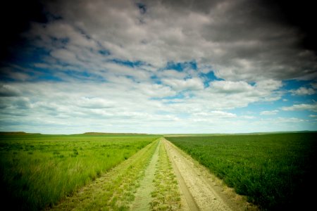 2969 NRCS projects