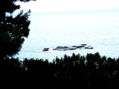 Taormina-Sicilia-Italy - Creative Commons by gnuckx