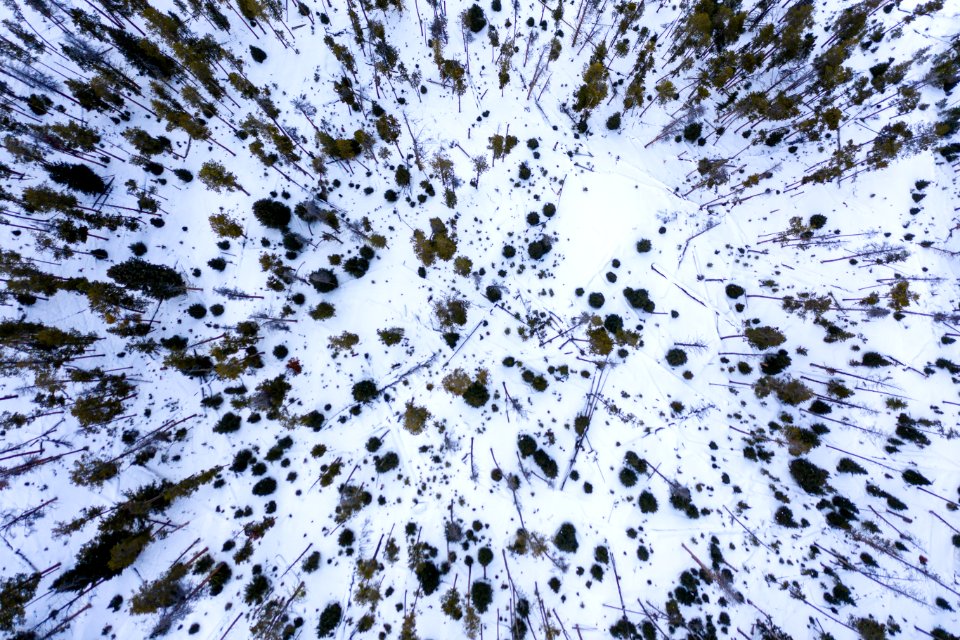 JGIBSON NRCS DJI 0293