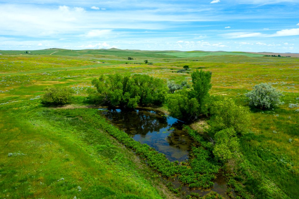 Jgibson Day8 0079 DJI 0919
