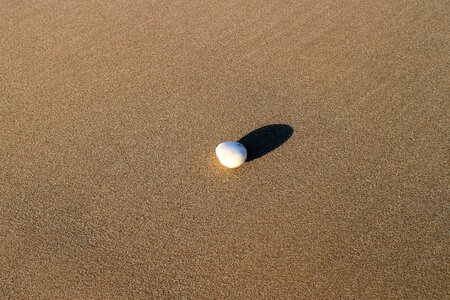Shore sand beach