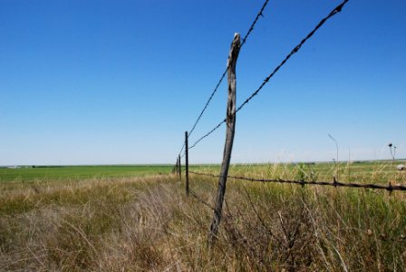 AmericanIndian121.jpg