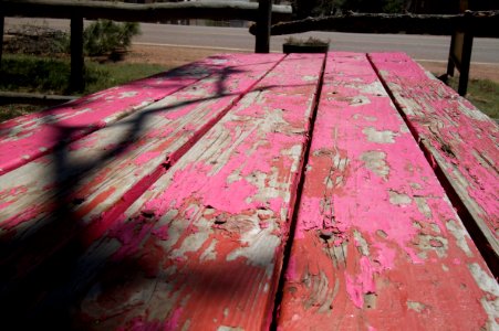 Tablecloths Are Extra
