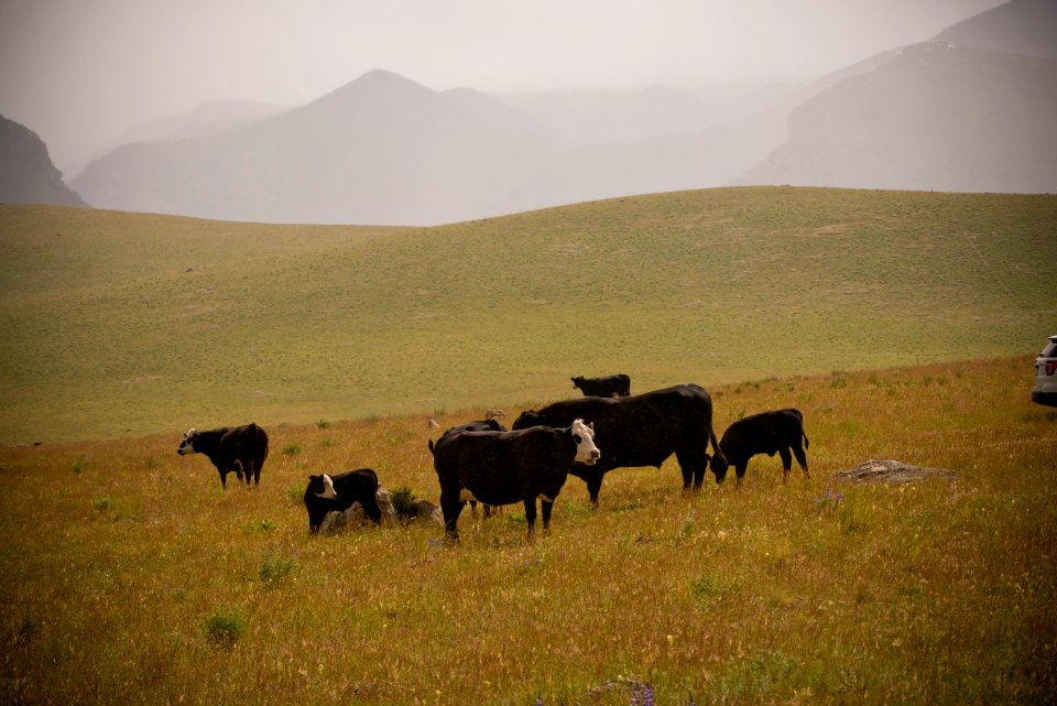 3504 NRCS projects