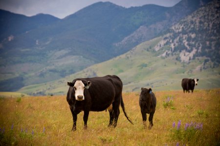 3478 NRCS projects