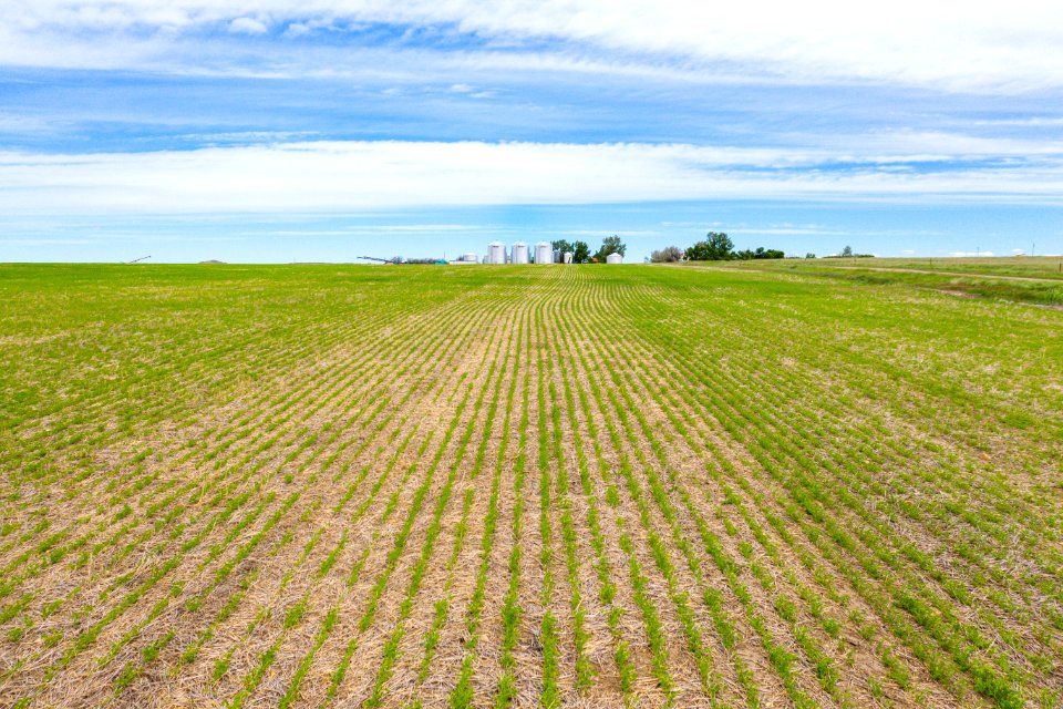 Jgibson Day1 0064 DJI 0183