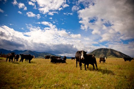 3517 NRCS projects