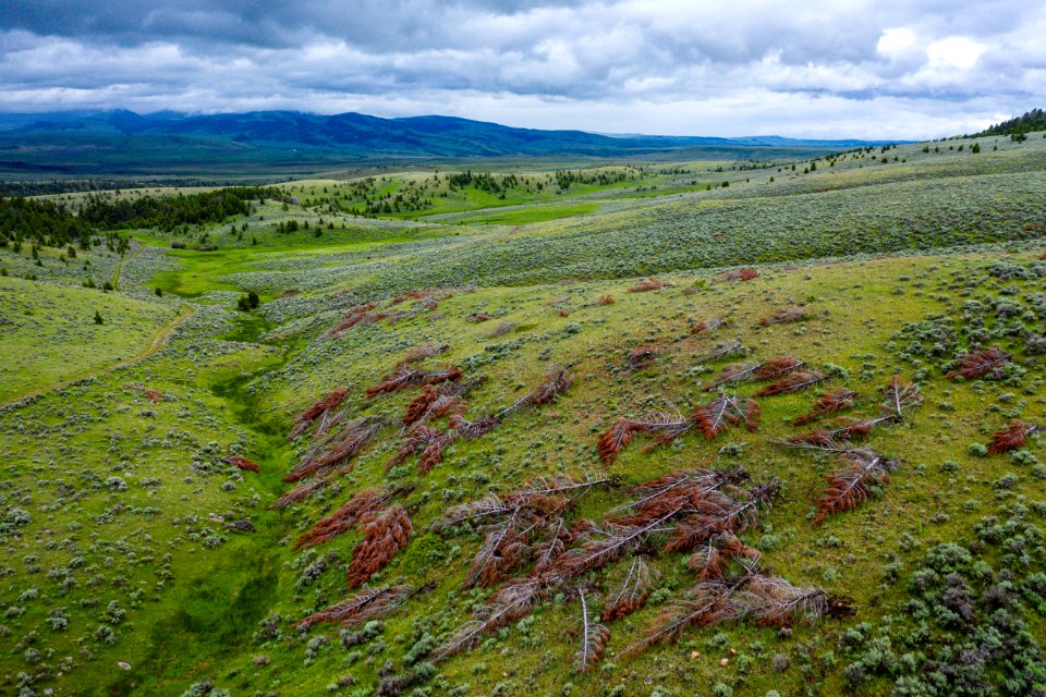 Jgibson Day3 0092 DJI 0667
