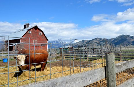 Farms11