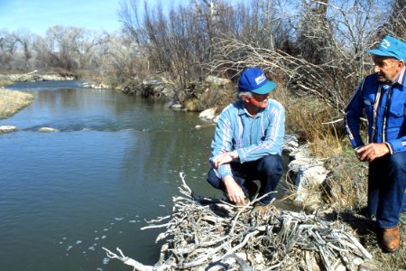 Riparian36.tif