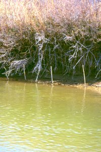 Watersheds01.tif